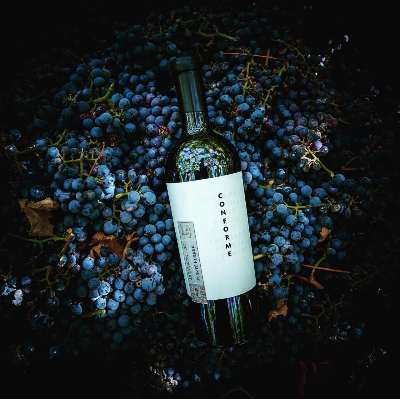 Rượu Vang Chile Conforme Punti Ferrer Cabernet Sauvignon