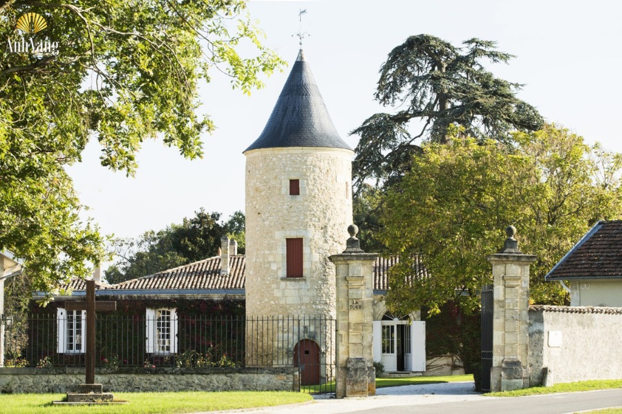 Chateau-Latour-Martillac-1