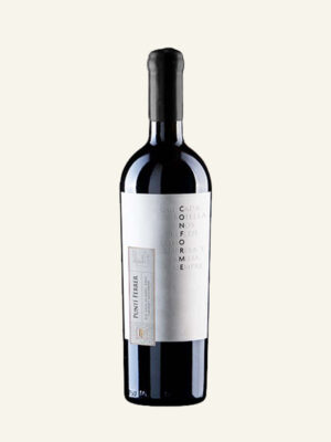 ruou-vang-chile-conforme-punti-ferrer-cabernet-sauvignon