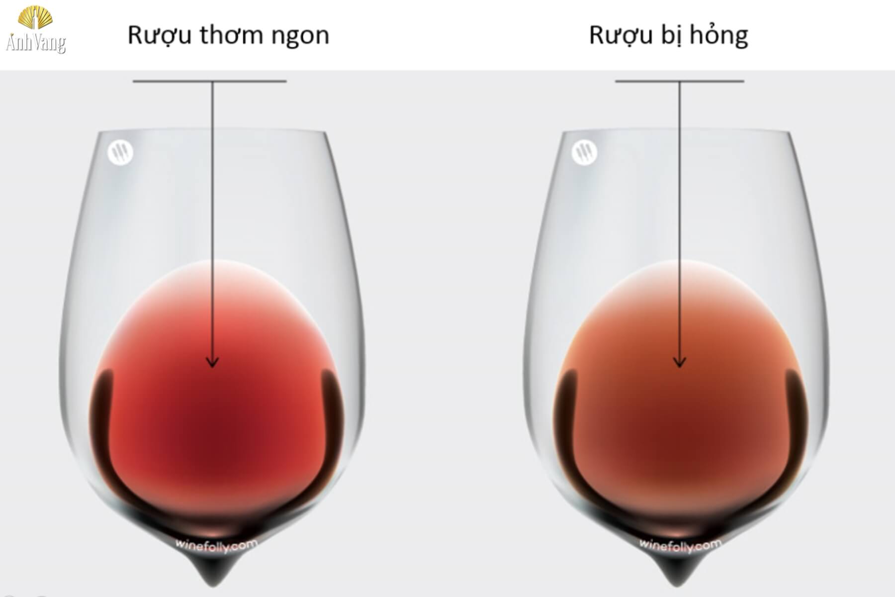 ruou-vang-co-han-su-dung-khong-8