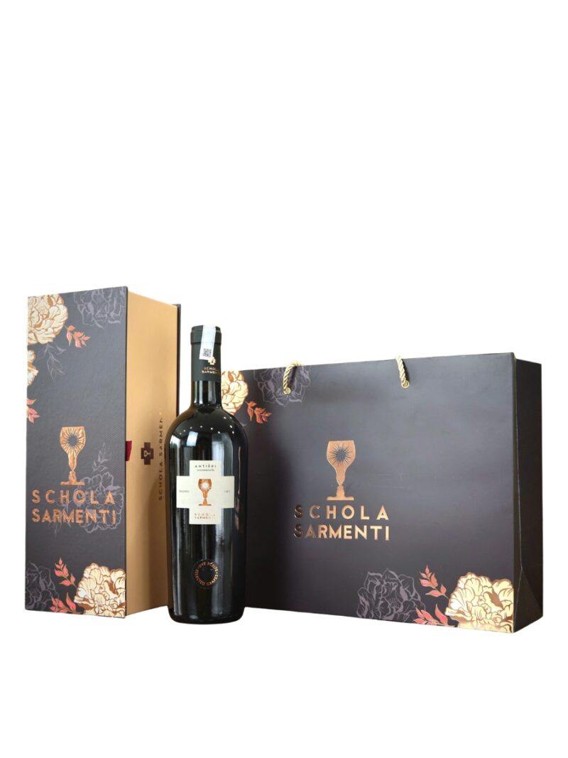 schola-sarmenti-antieri