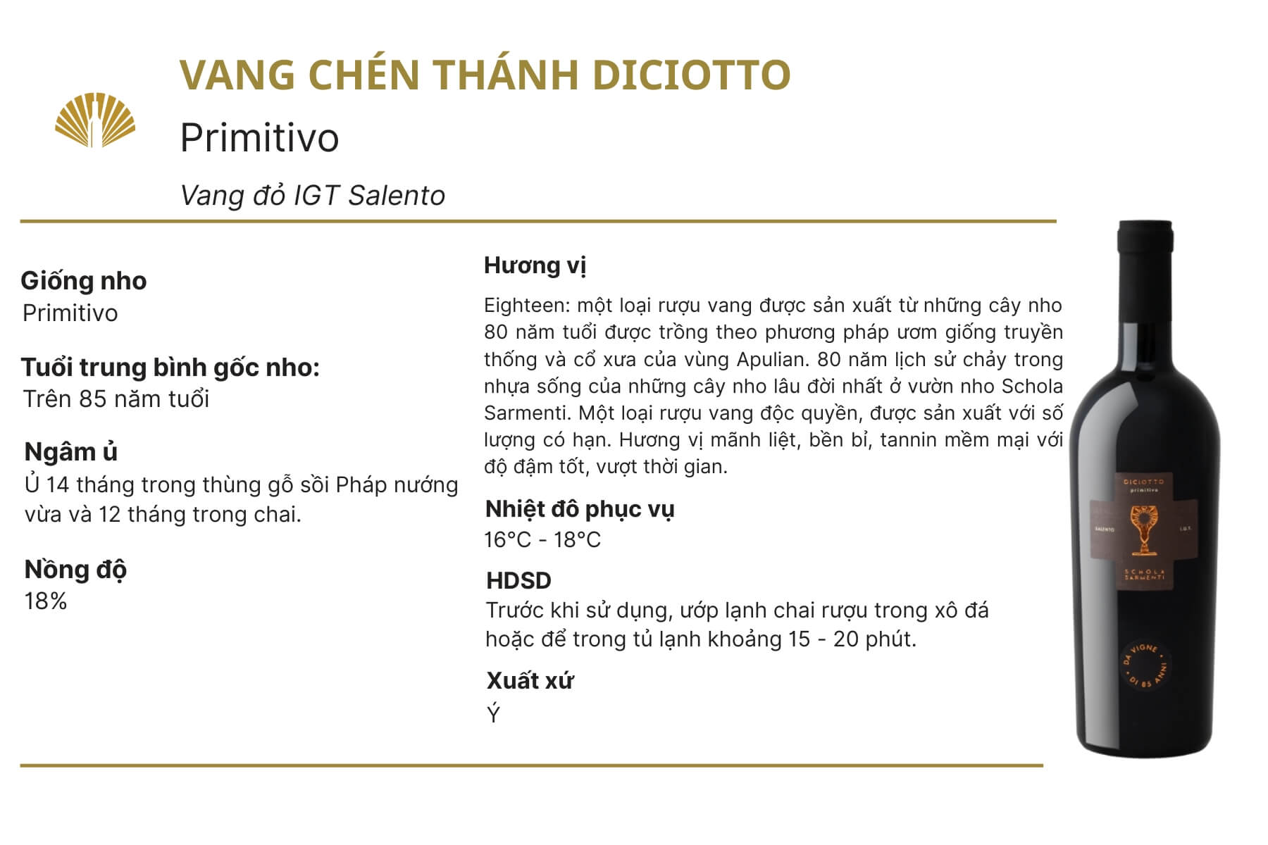 tom-tat-vang-chen-thanh-schola-sarmenti-diciotto