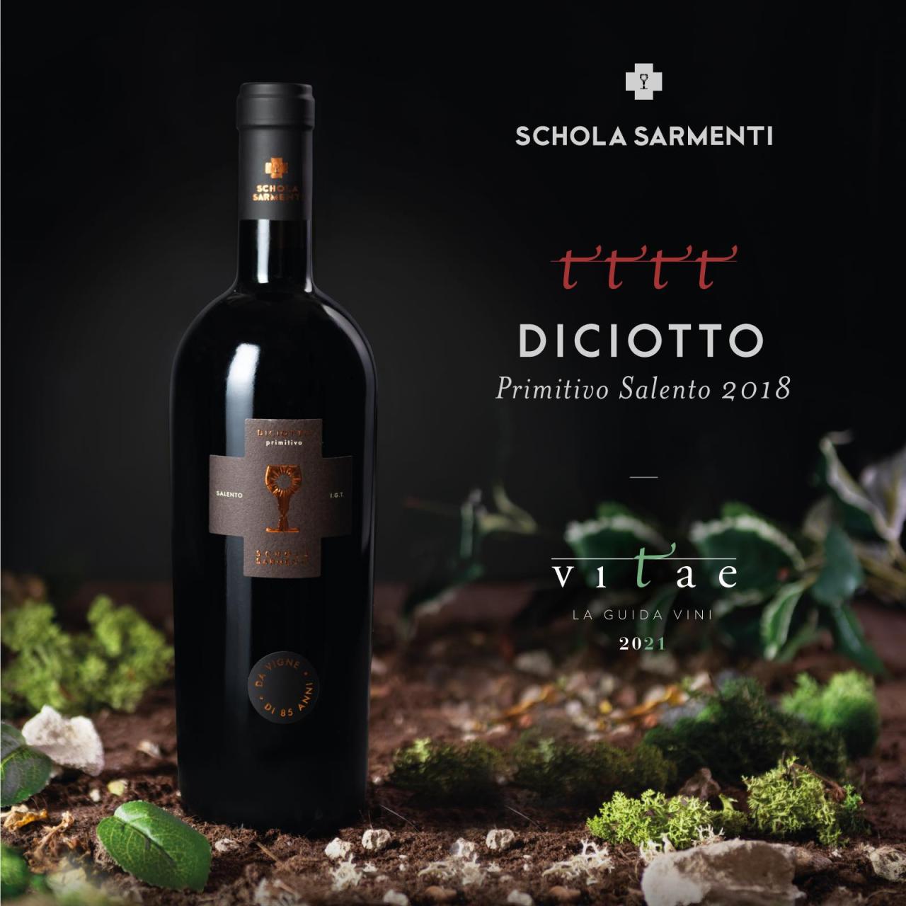 126904279_1799031453586839_4400681808299395022_n Tinh hoa rượu vang Puglia - Khi Primitivo và Negroamaro chinh phục thế giới