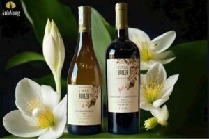 Ruou-Vang-Chile-Casa-Bollen-Reserva-Chardonnay