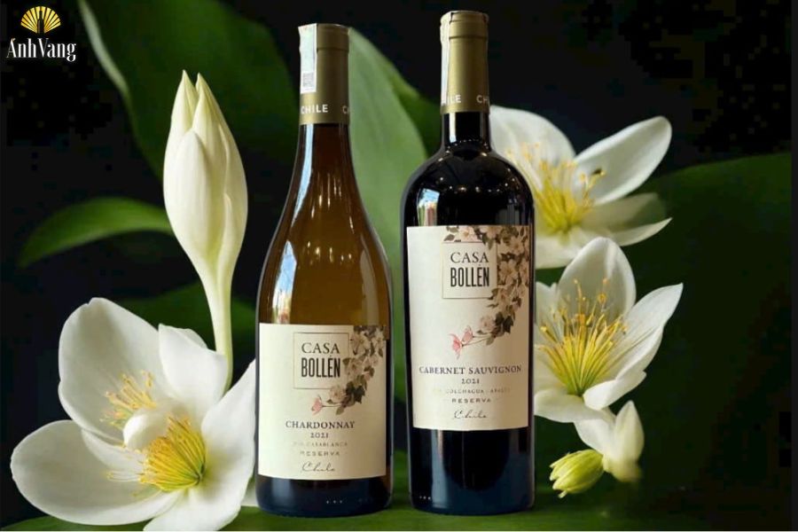 Ruou-Vang-Chile-Casa-Bollen-Reserva-Chardonnay