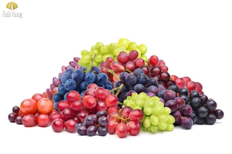 cac-giong-nho-lam-ruou-vang-2