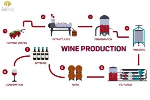 quy-trinh-san-xuat-ruou-vang-3