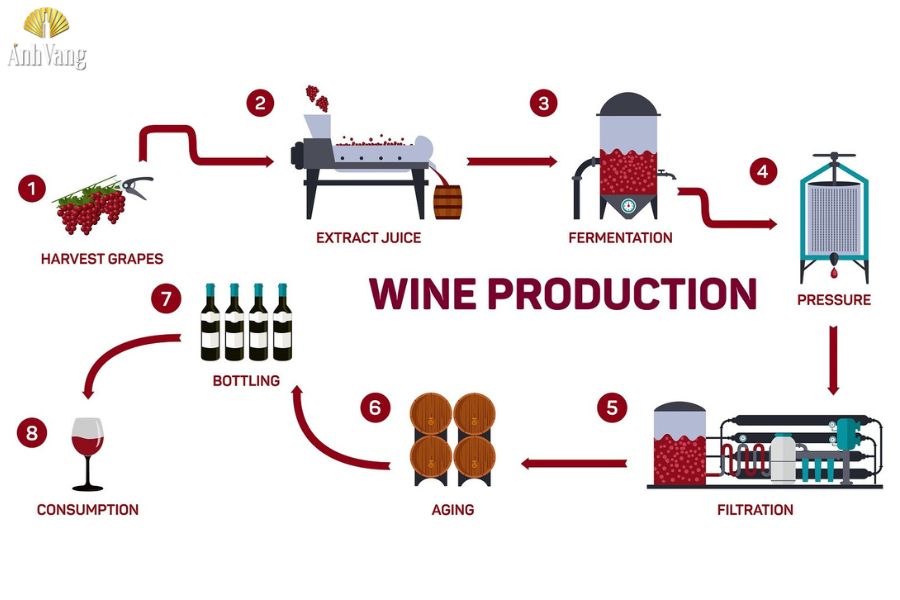 quy-trinh-san-xuat-ruou-vang-3