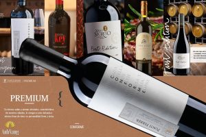 Ruou-vang-do-chile-loai-nao-ngon