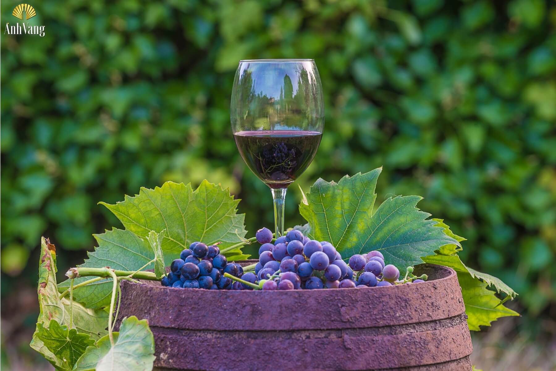 cach-lam-ruou-vang-nho-kieu-phap-3