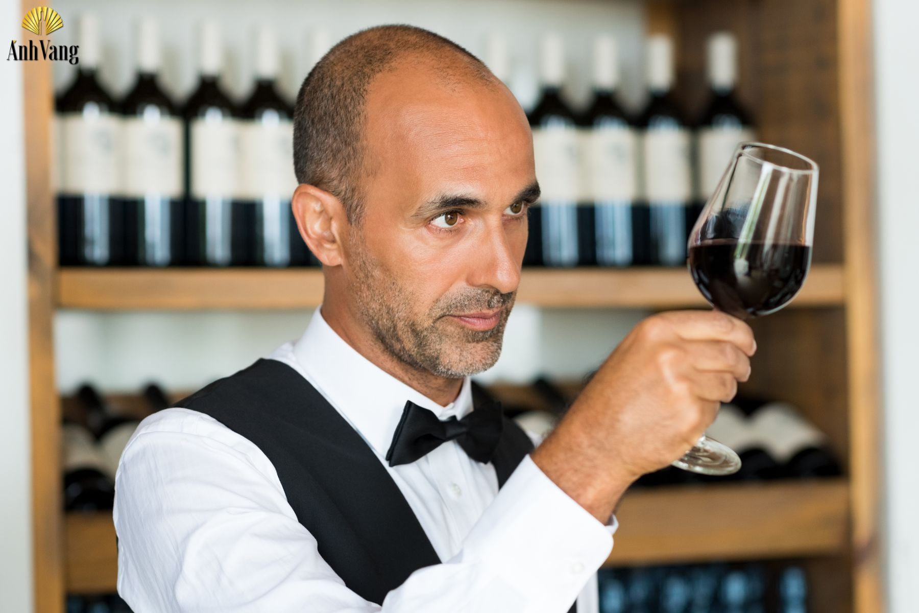 cach-uong-ruou-vang-quan-sat-mau-sac-ly-ruou-vang