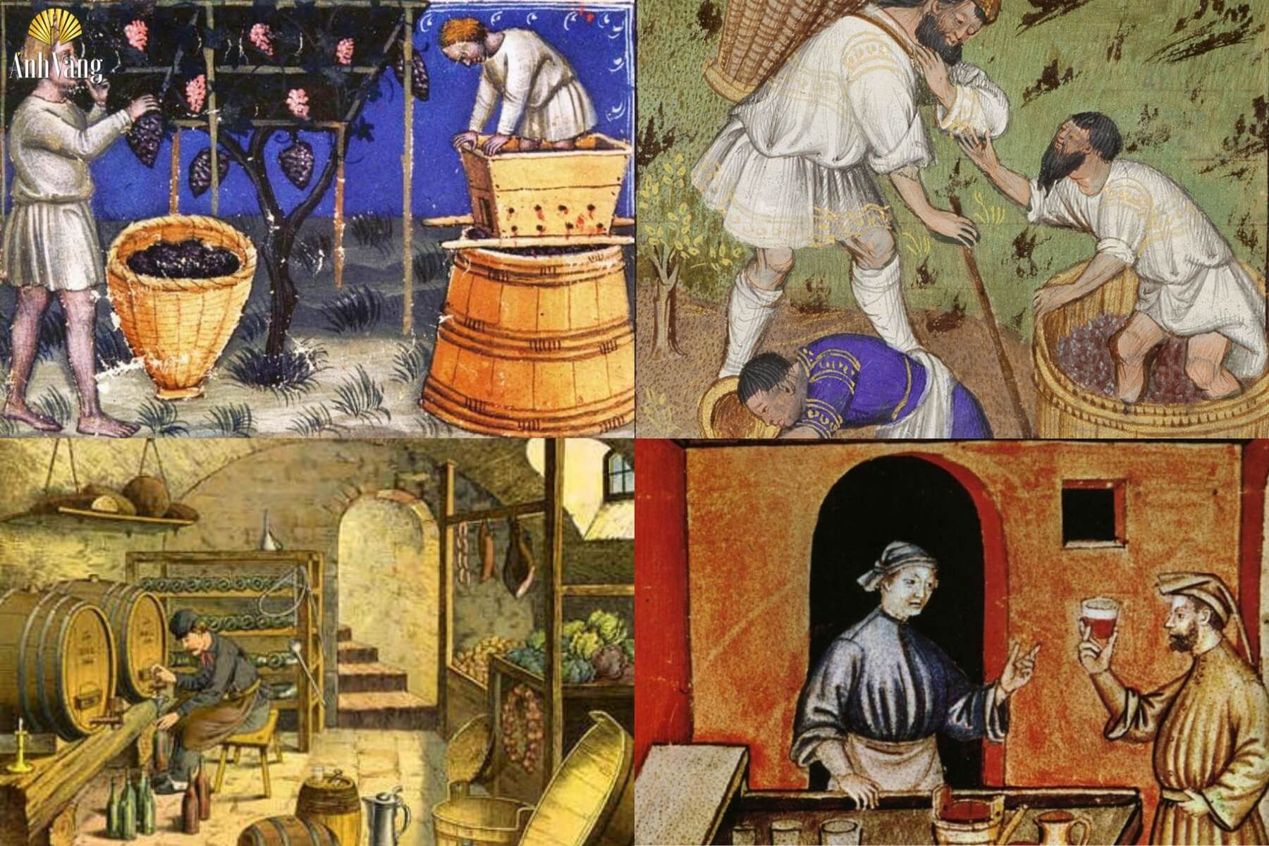 kien-thuc-ve-ruou-vang-y-lich-su-ruou-vang-y