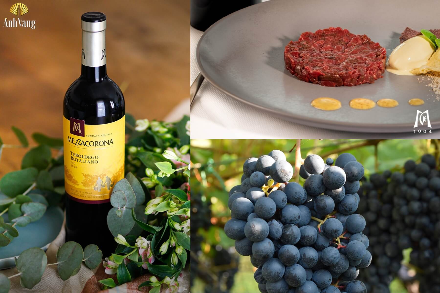 kien-thuc-ve-ruou-vang-y-mezzacorona-terodego