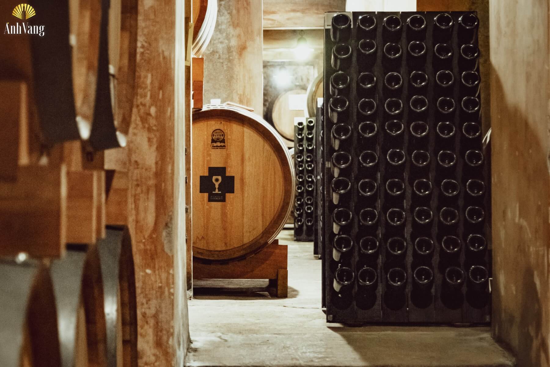 kien-thuc-ve-ruou-vang-y-vang-chen-thanh