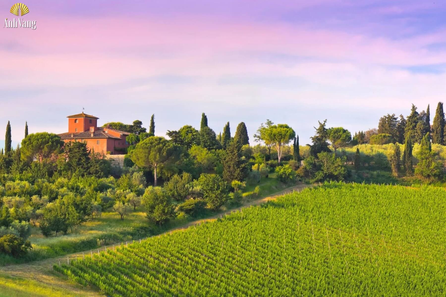 kien-thuc-ve-ruou-vang-y-vung-dat-ruou-vang-y