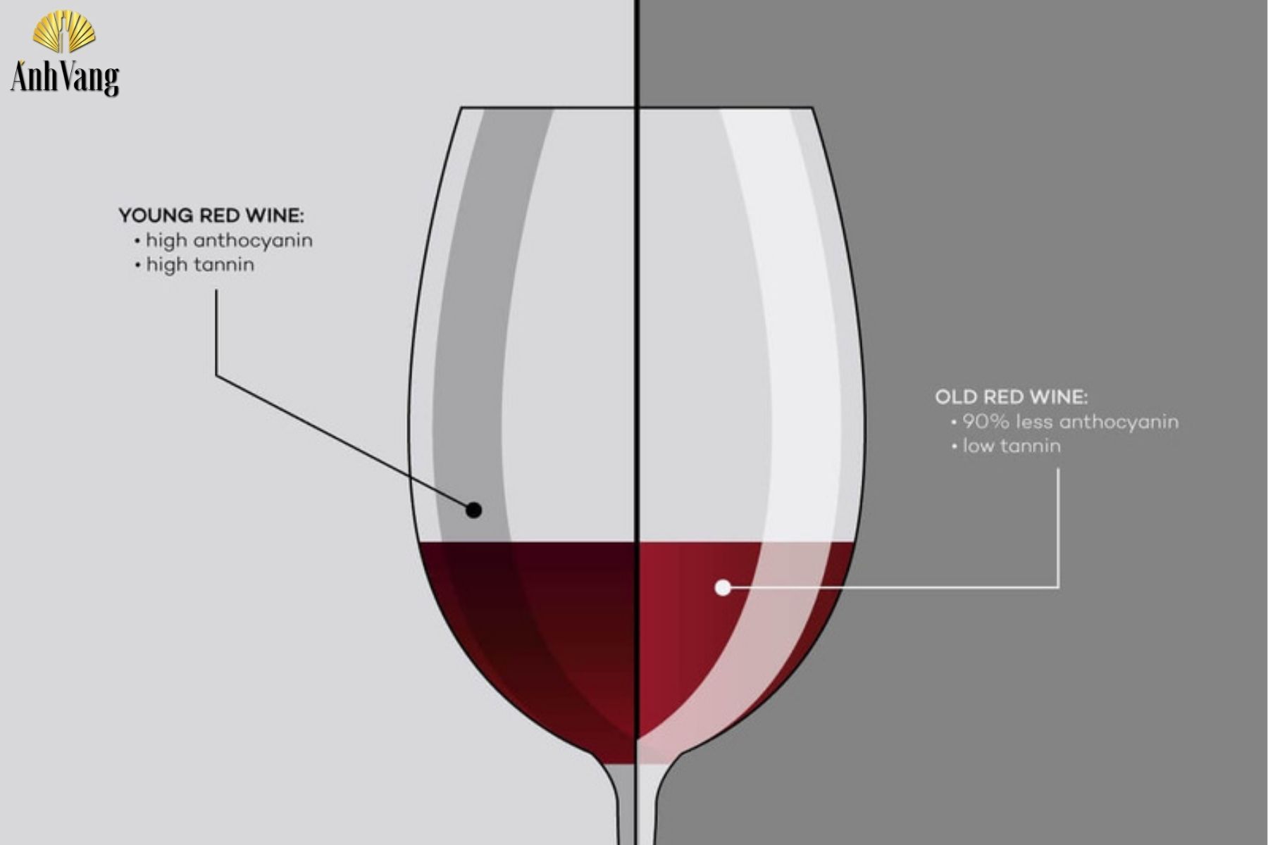 mau-ruou-vang-dac-tinh-cua-ruou