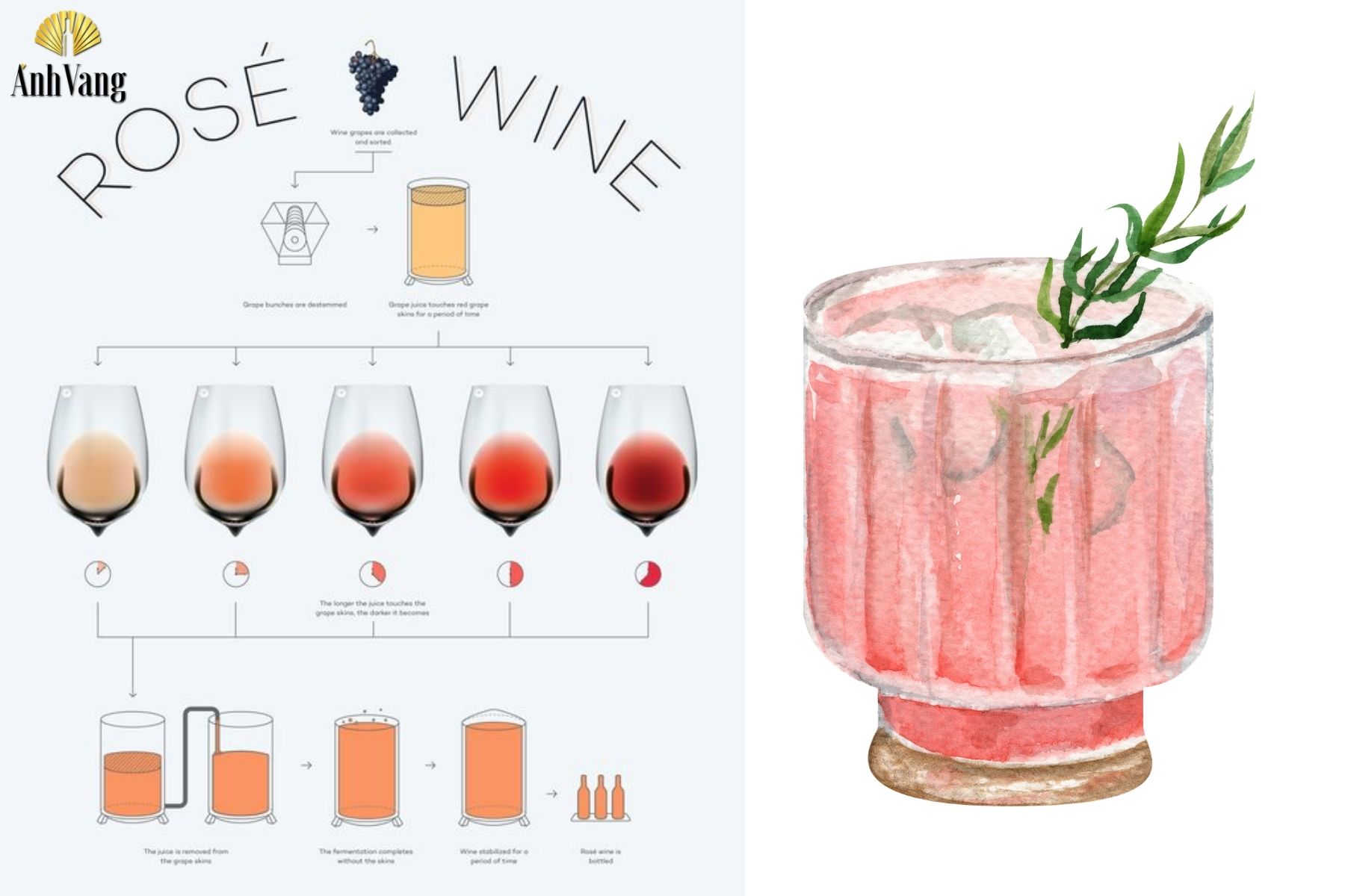 mau-ruou-vang-ruou-vang-hong