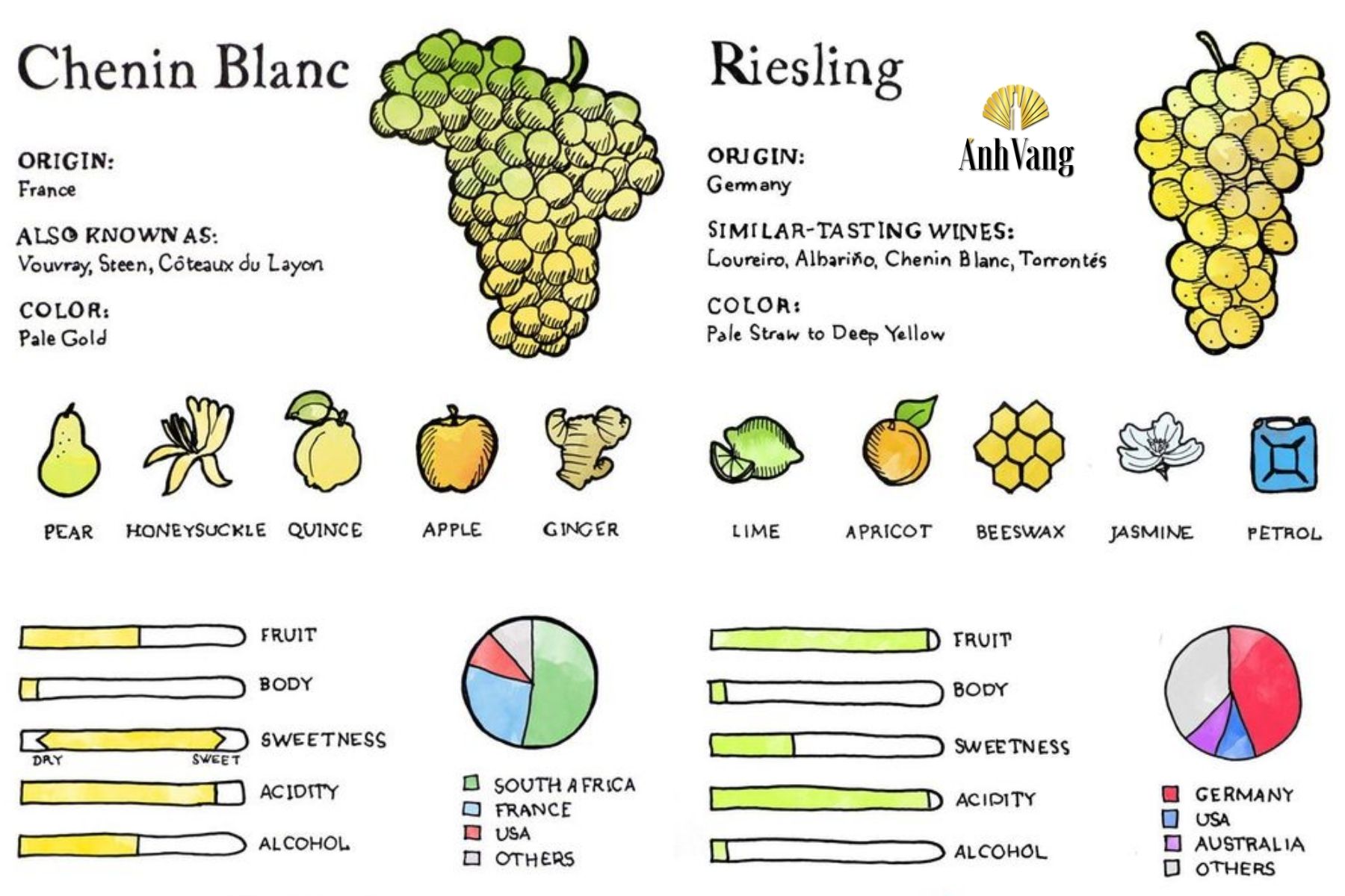 mau-ruou-vang-ruou-vang-trang