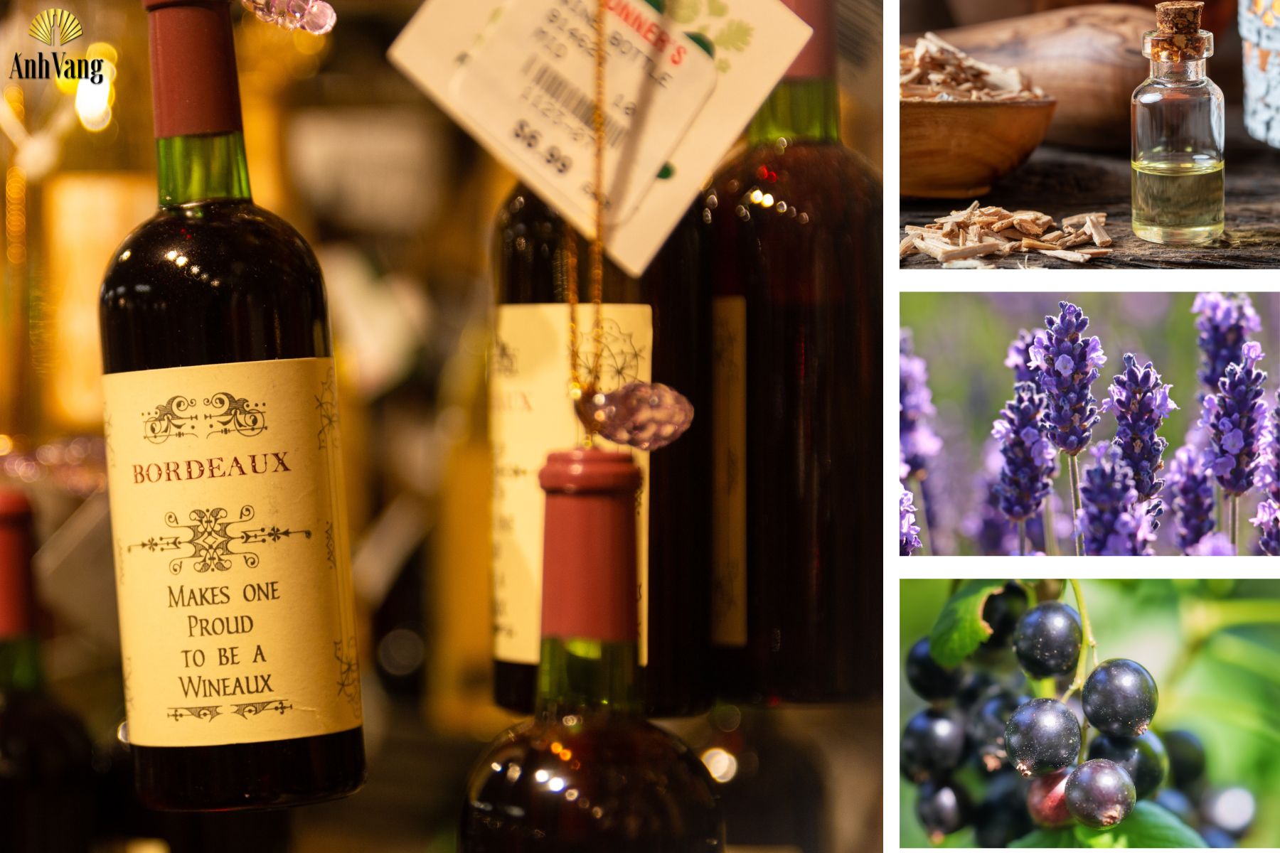 ruou-vang-do-phap-bordeaux-huong-va-vi-co-ban-cua-ruou-vang-bordeaux