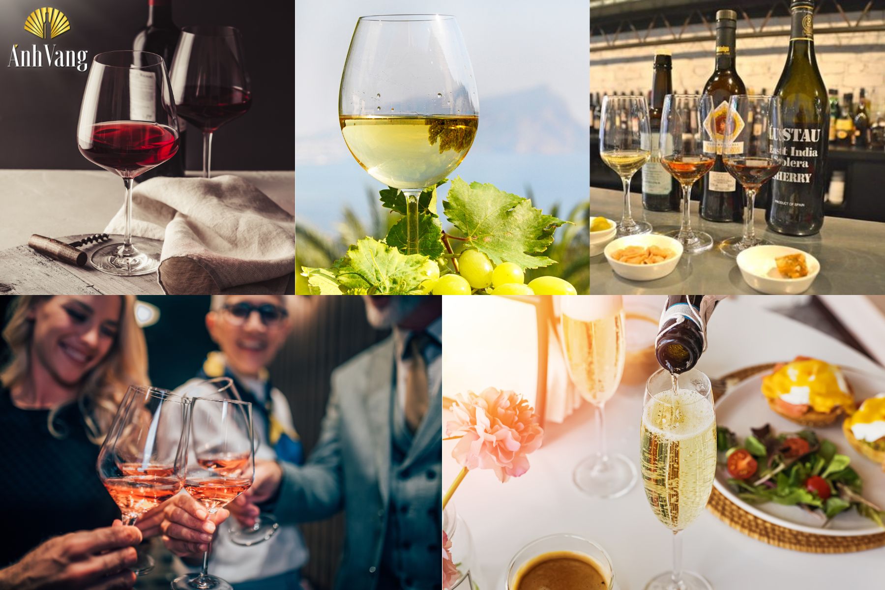 ruou-vang-do-ngon-so-luoc-ve-ruou-vang