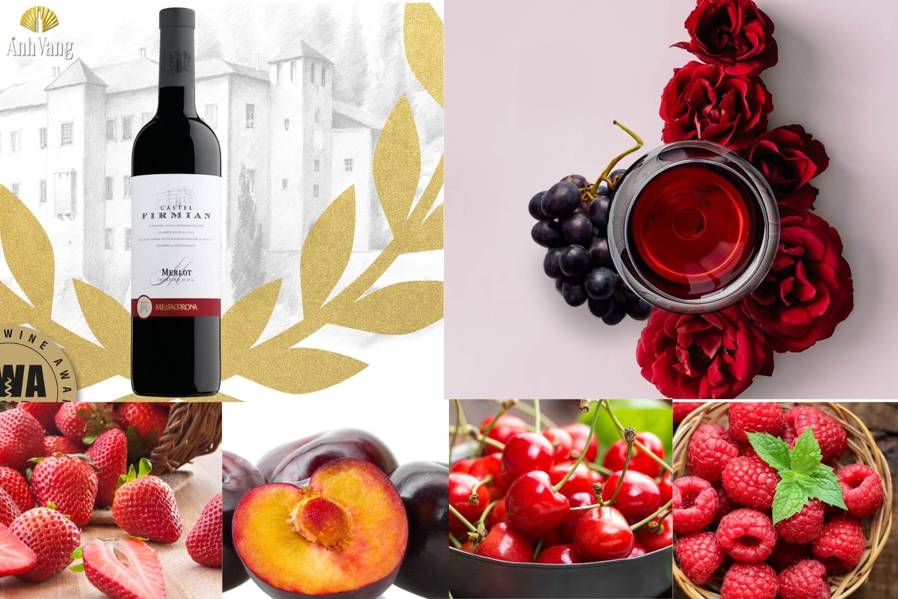 ruou-vang-merlot-trentino-castel-firmian