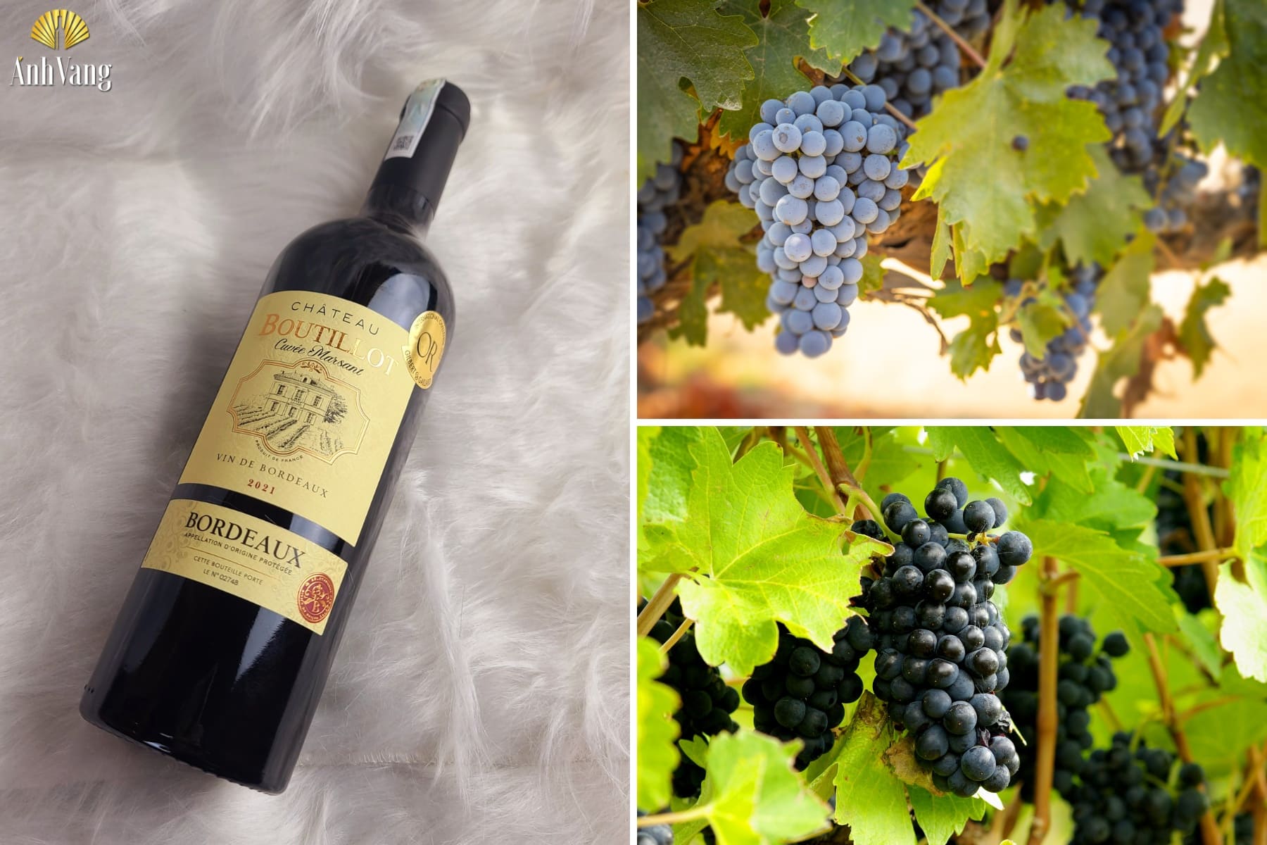 ruou-vang-phap-chateau-boutillot