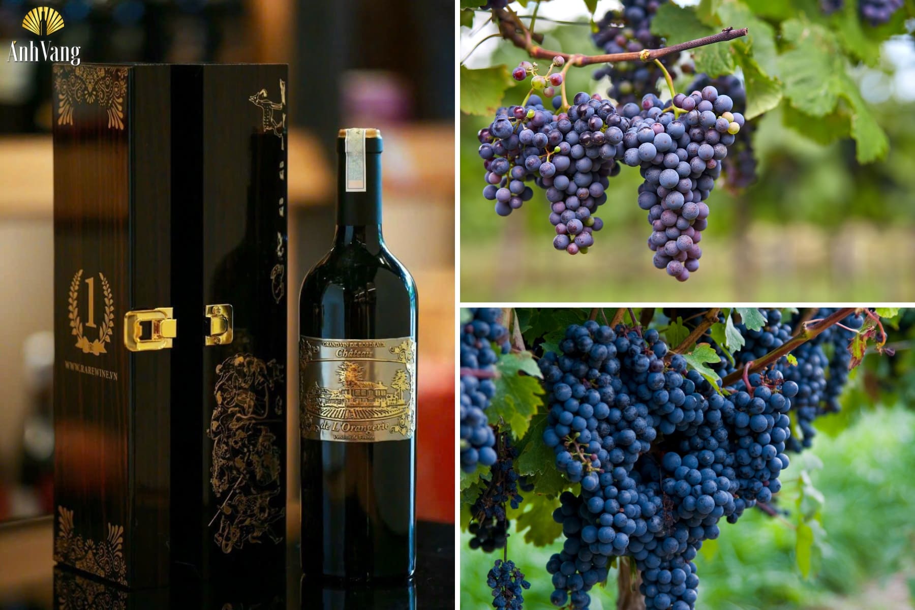 ruou-vang-phap-chateau-lorangerie