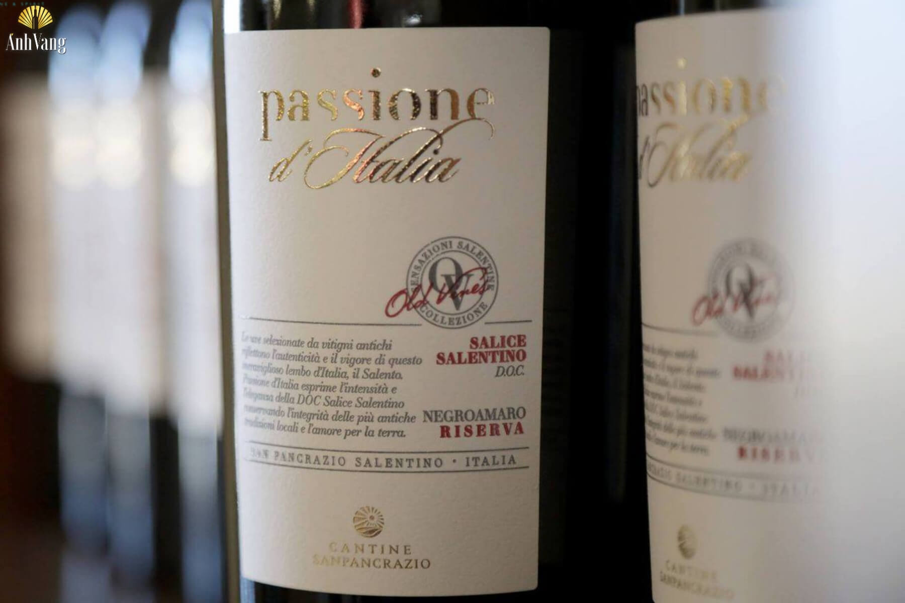 Cantine-Passione-Negroamaro