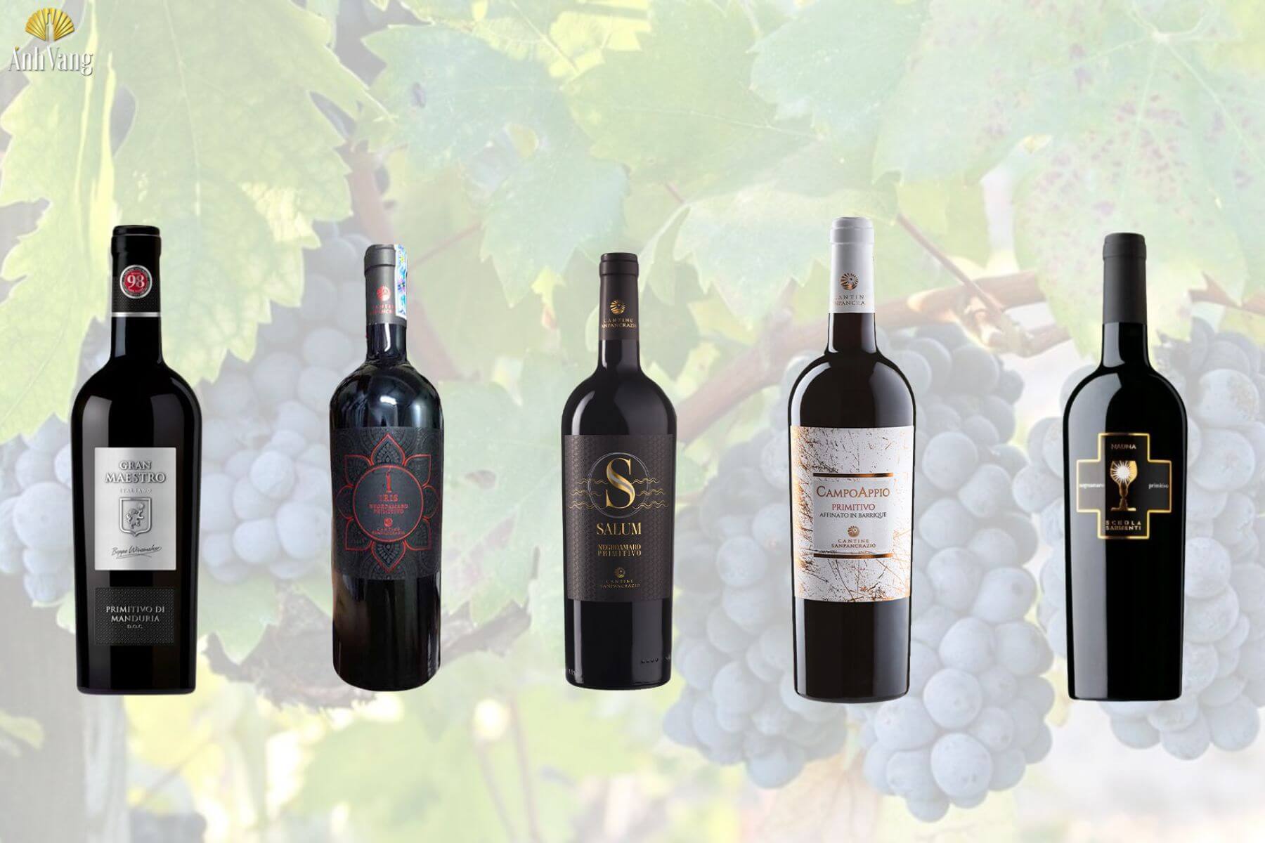 Primitivo-tai-Anh-Vang