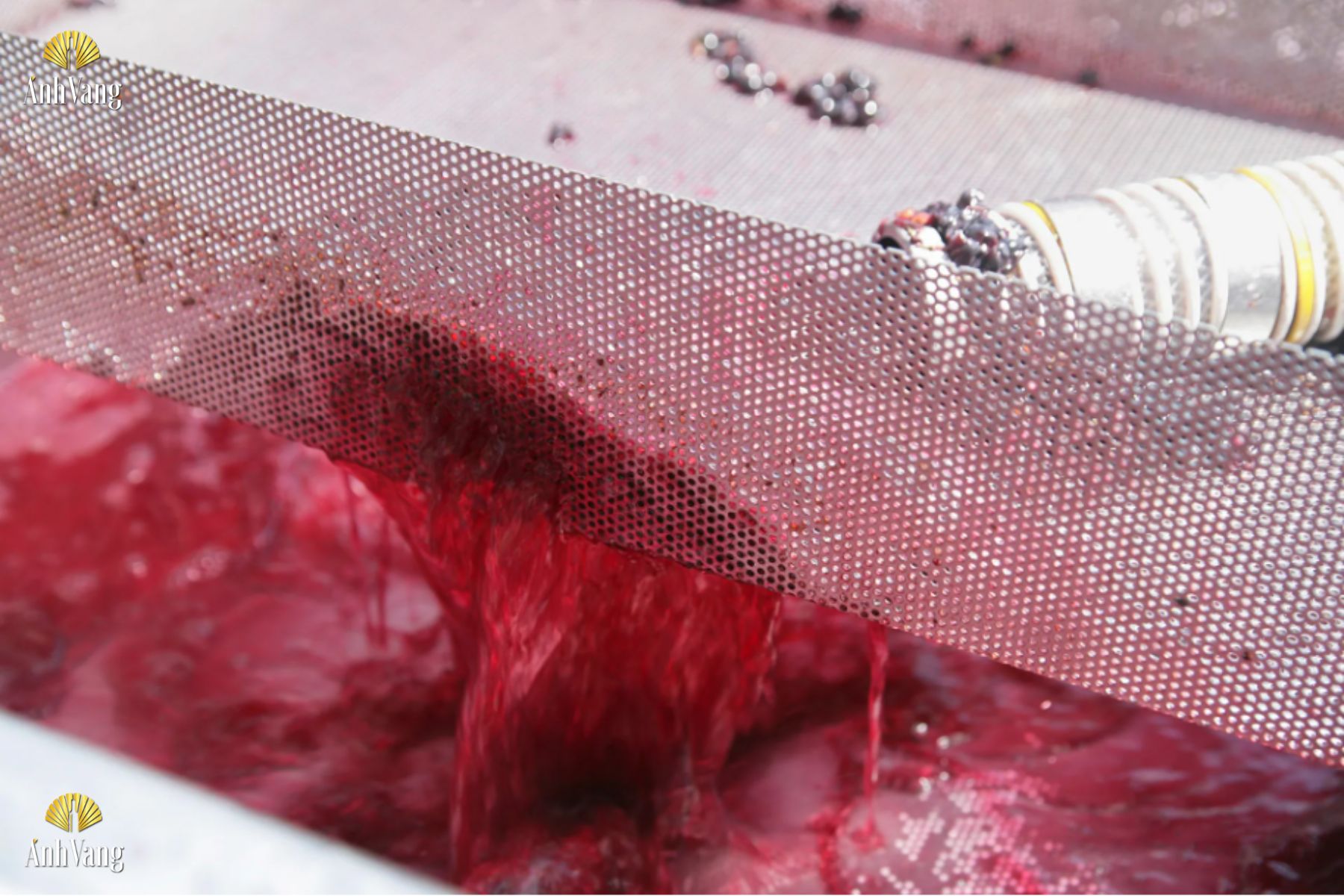 Tai-sao-ruou-vang-co-can-5