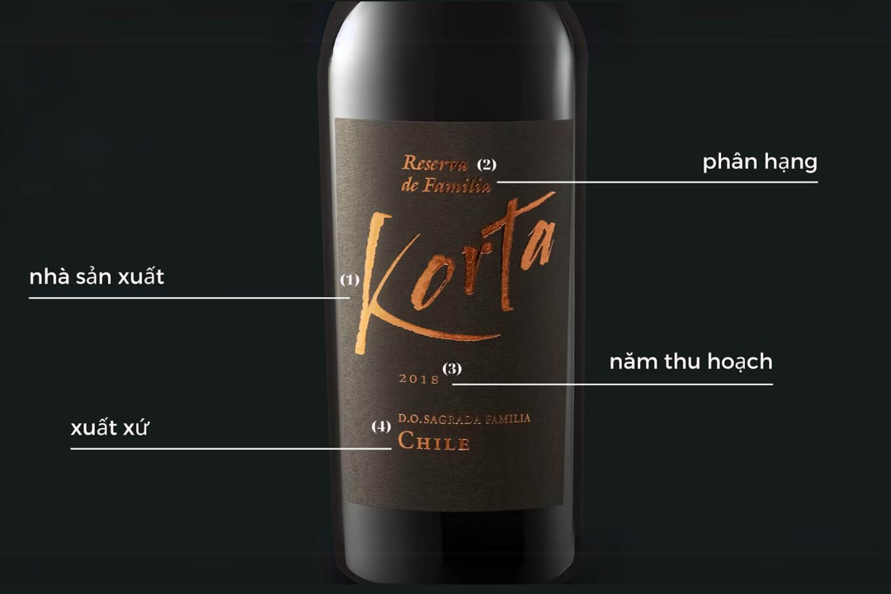 cach-doc-thong-tin-tren-nhan-chai-ruou-vang-chile