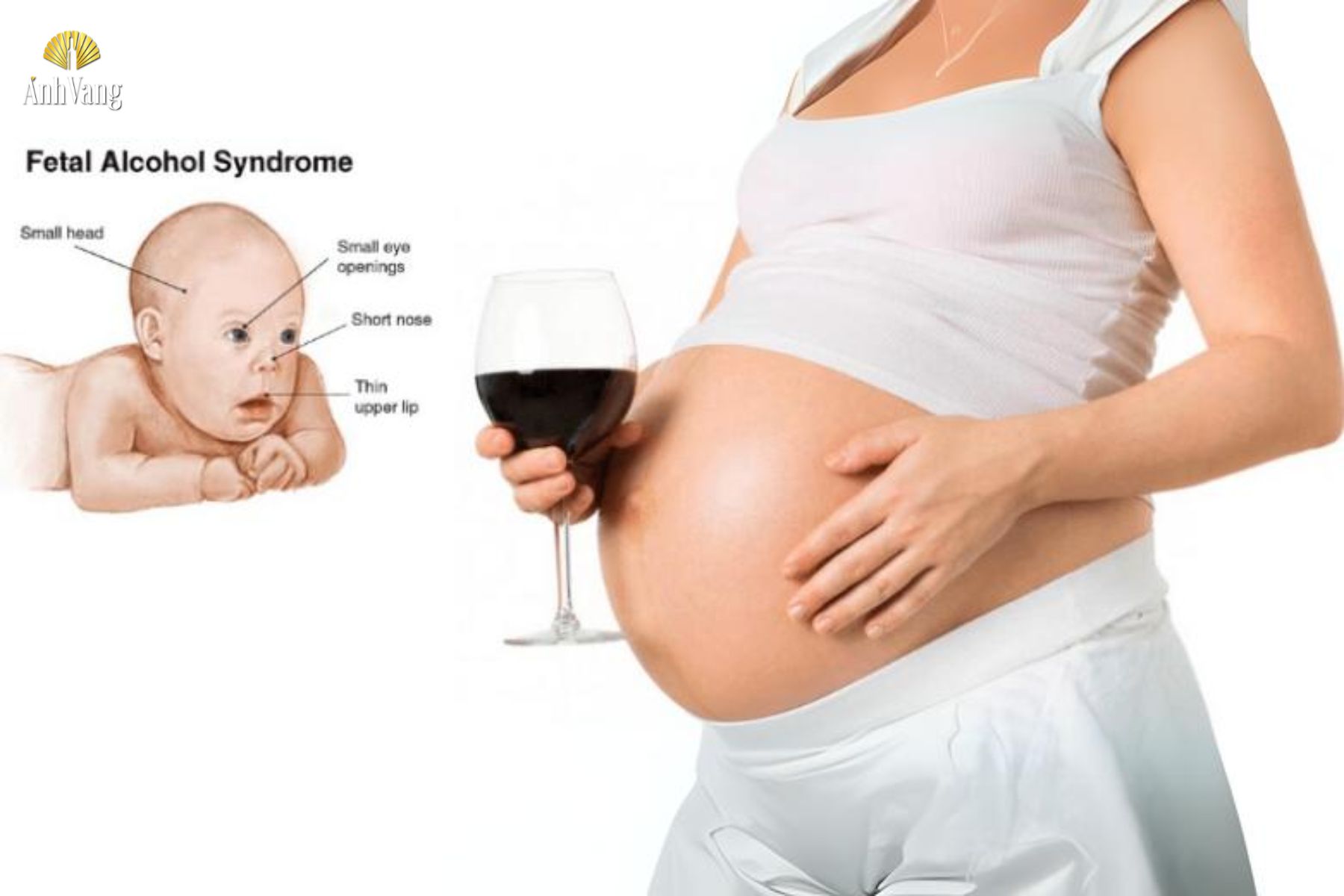 co-bau-uong-ruou-vang-duoc-khong-2