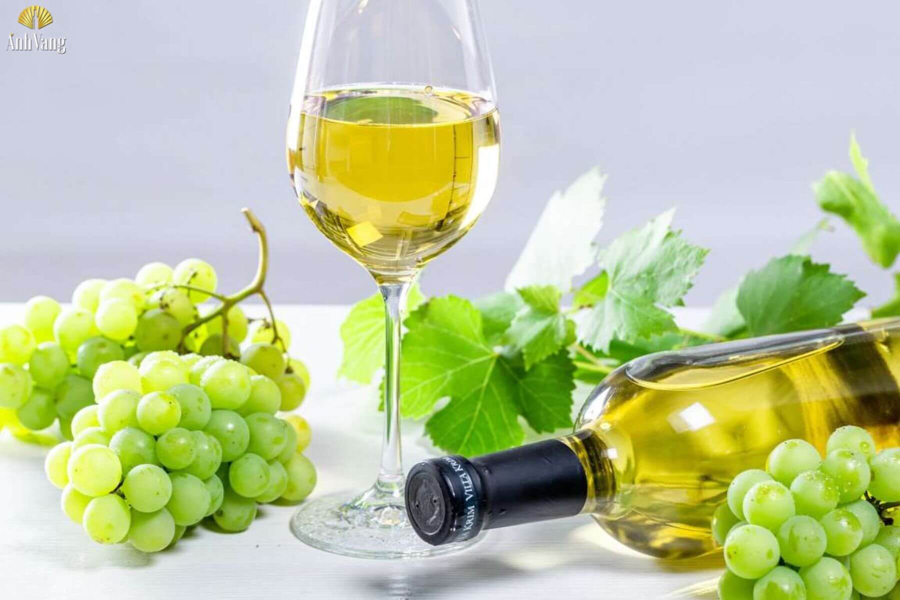 dac-diem-cua-nho-chardonaay