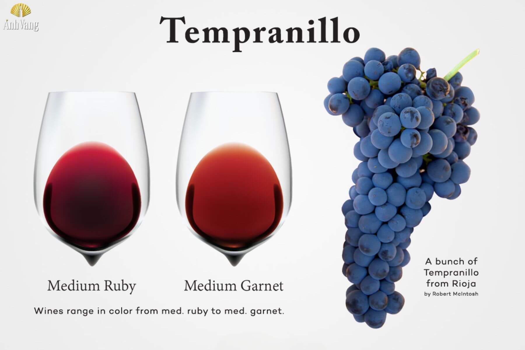 dac-diem-nho-tempranillo