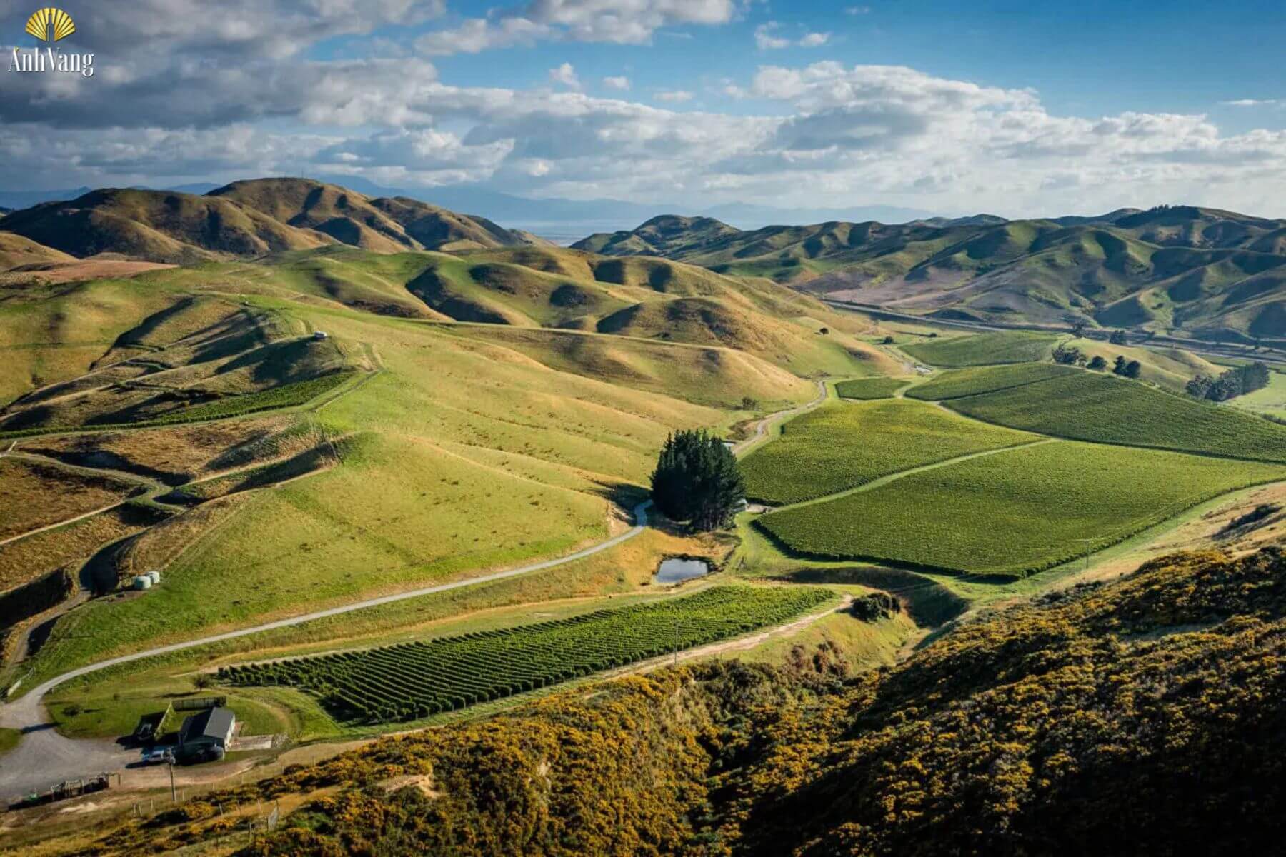 khi-hau-vung-marlborough