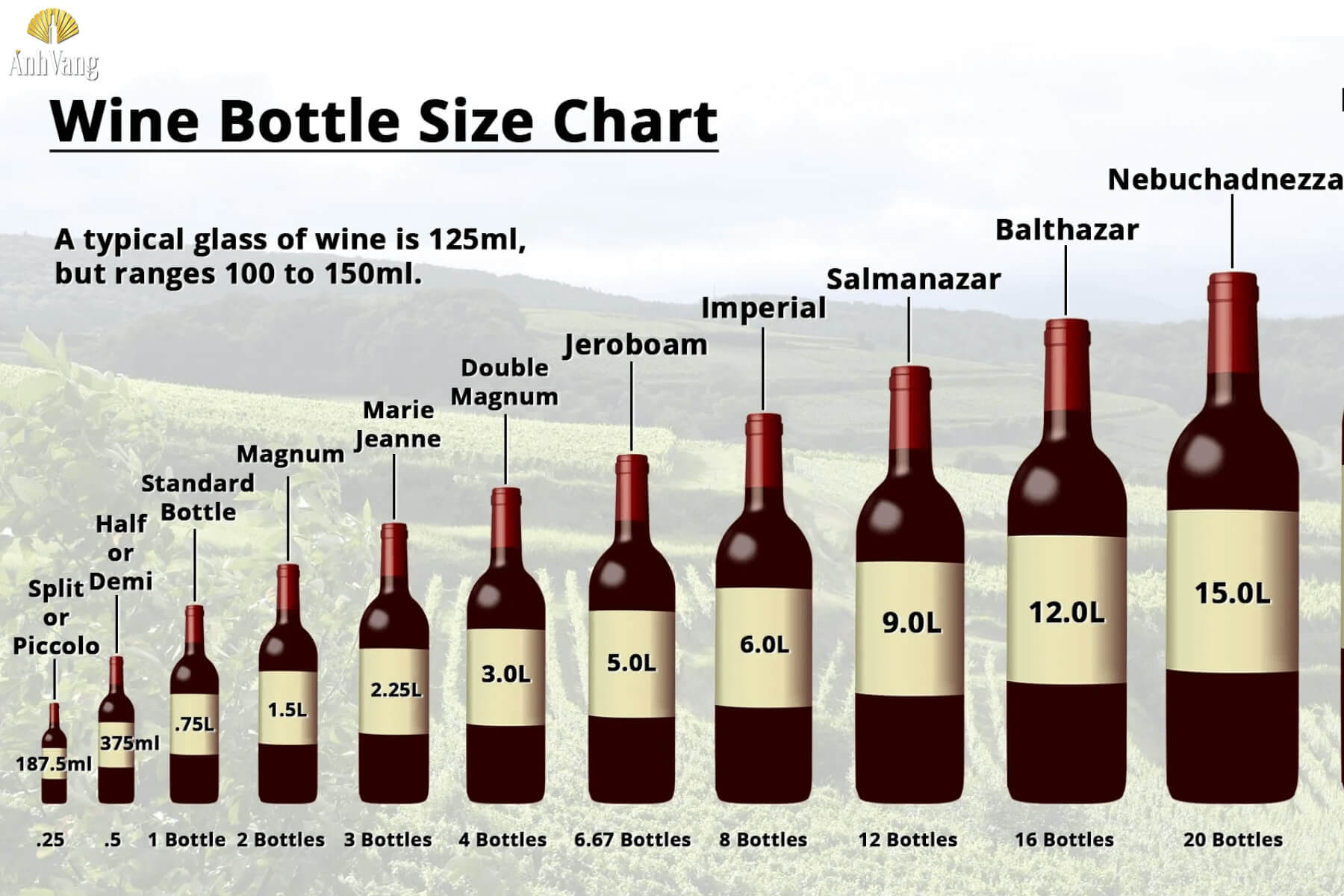 kich-thuoc-chai-ruou-vang-2