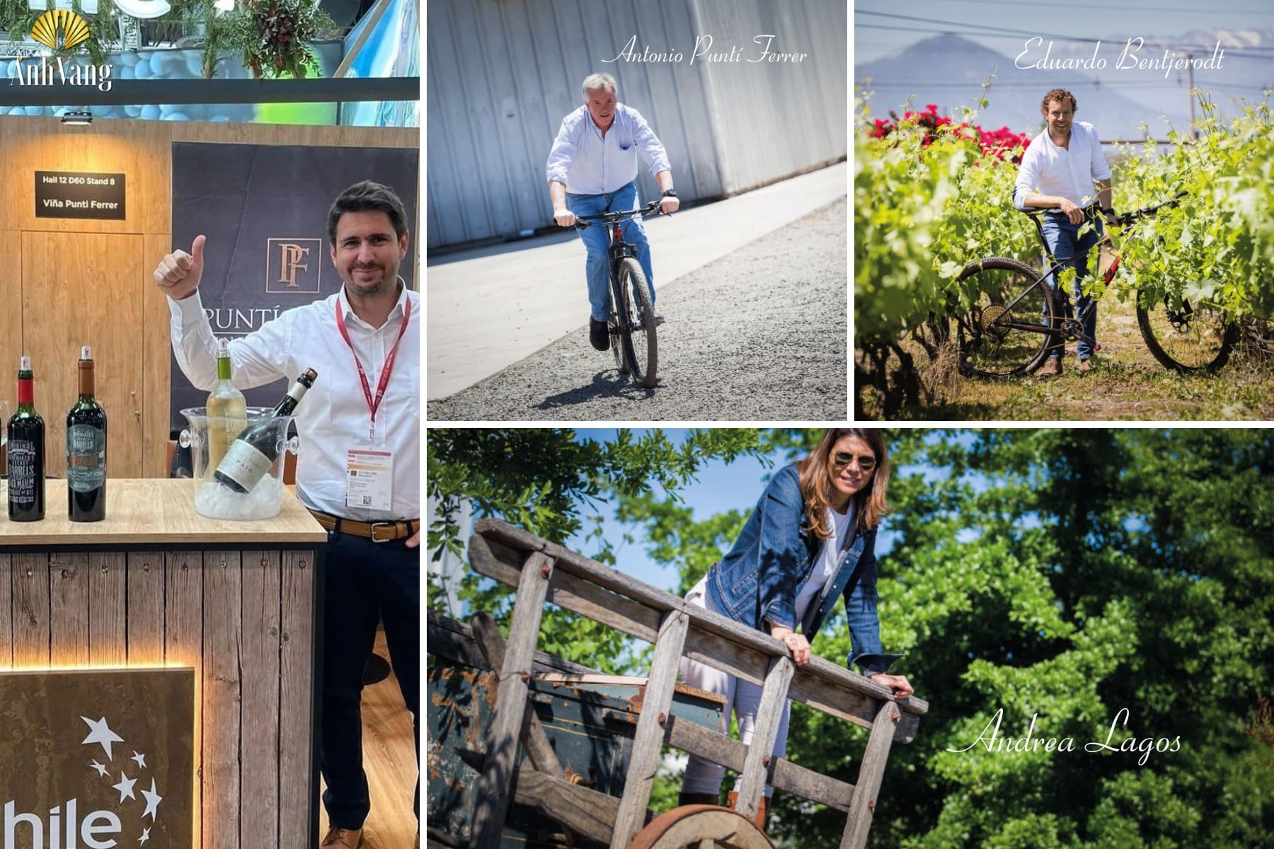 lich-su-hinh-thanh-punti-ferrer