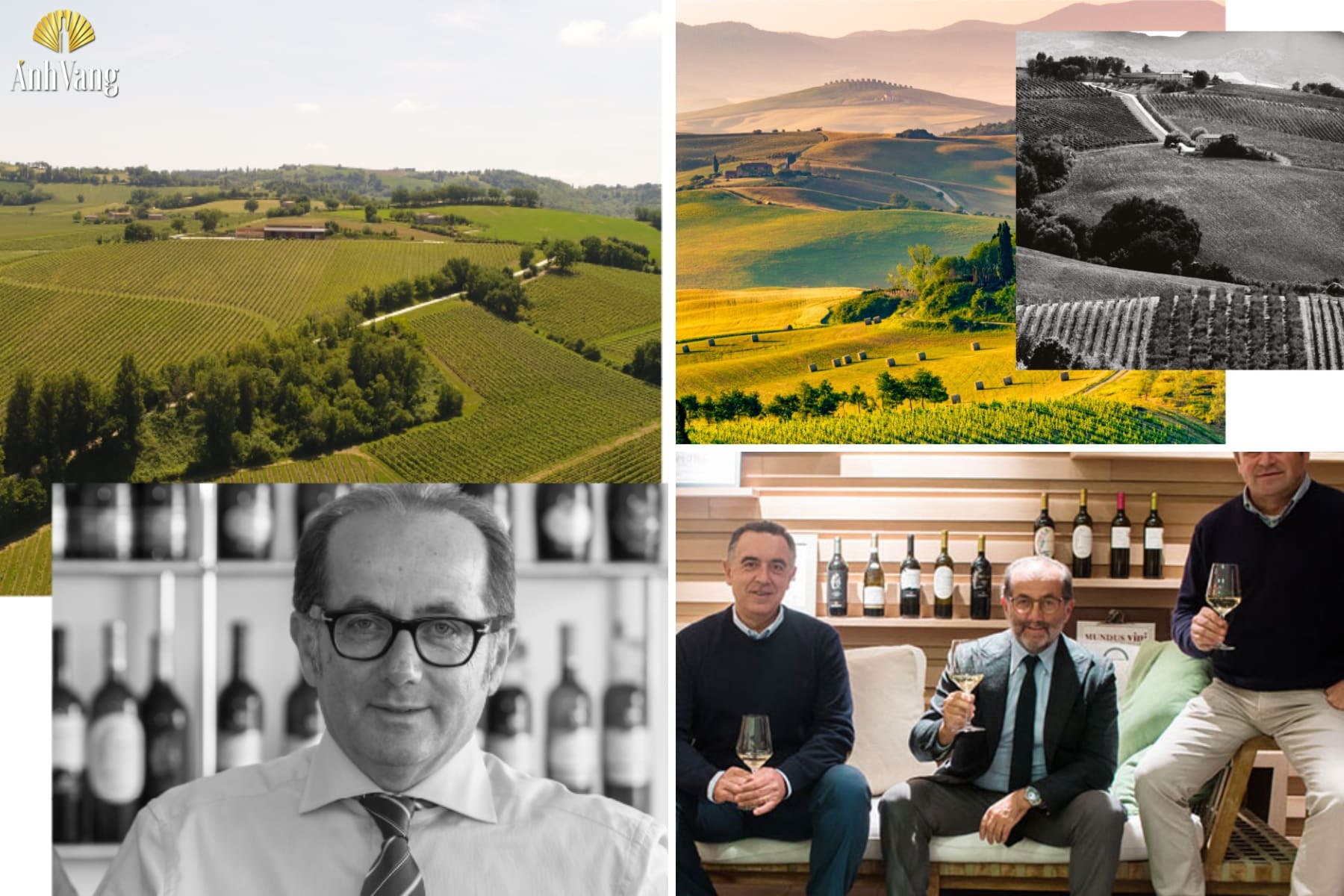 lich-su-thuong-hieu-casalfarneto