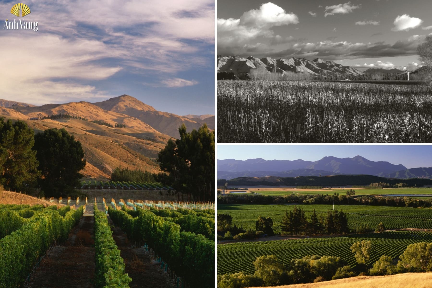 lich-su-thuong-hieu-vinultra