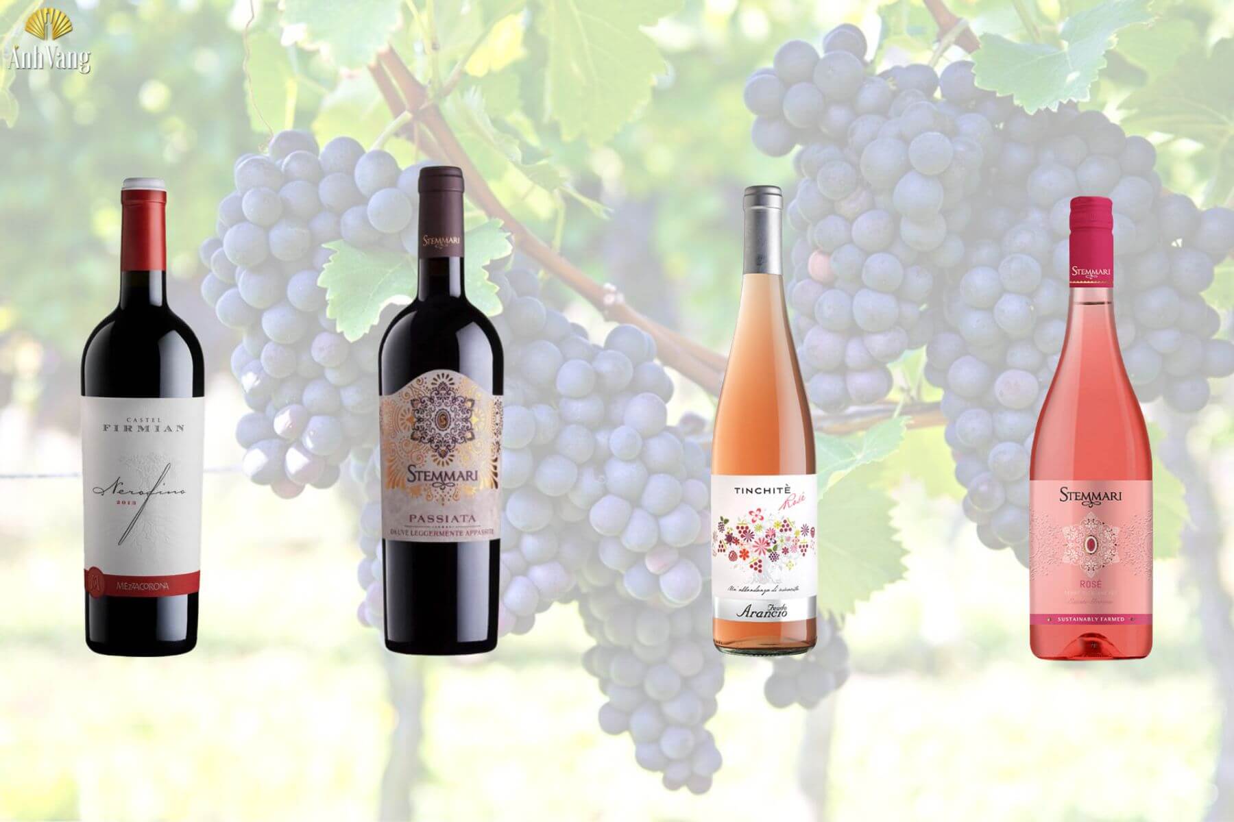 nero-davola-tai-Anh-Vang