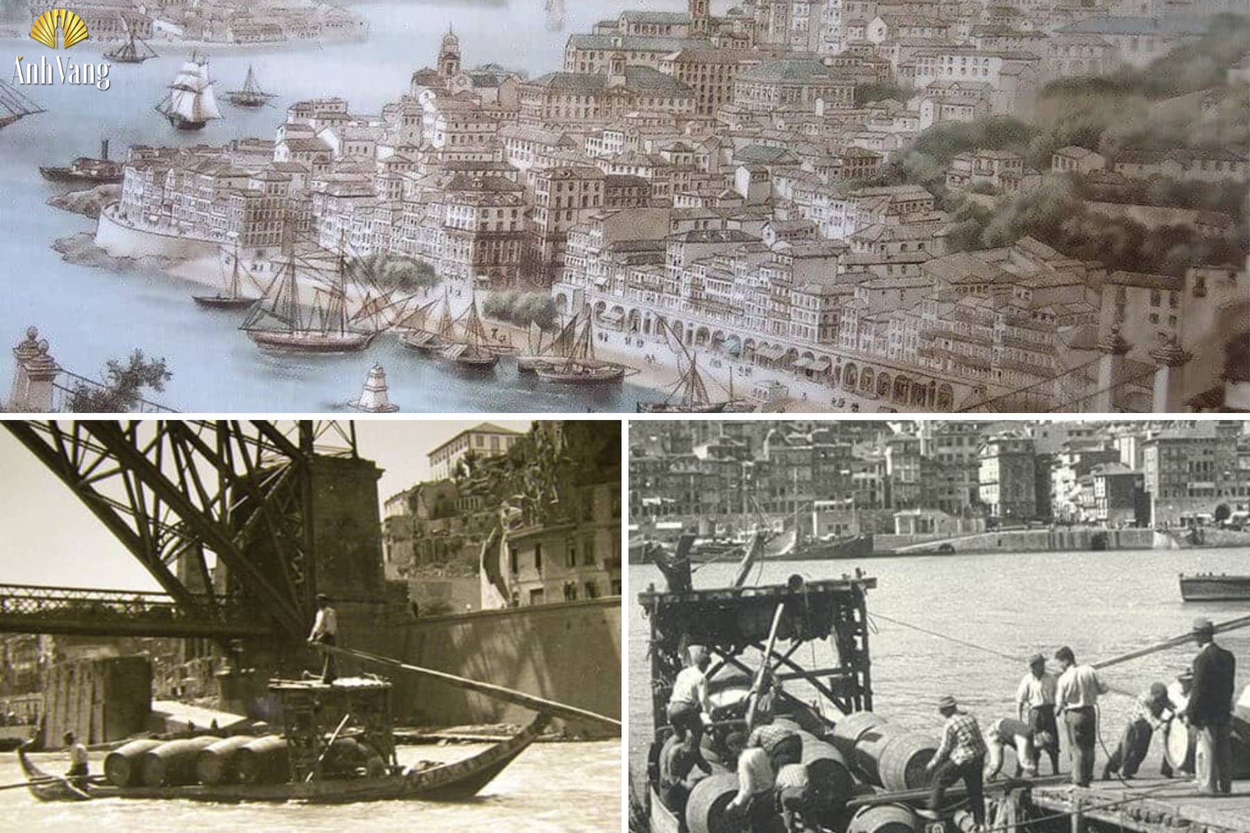 nguon-goc-vang-cuong-hoa