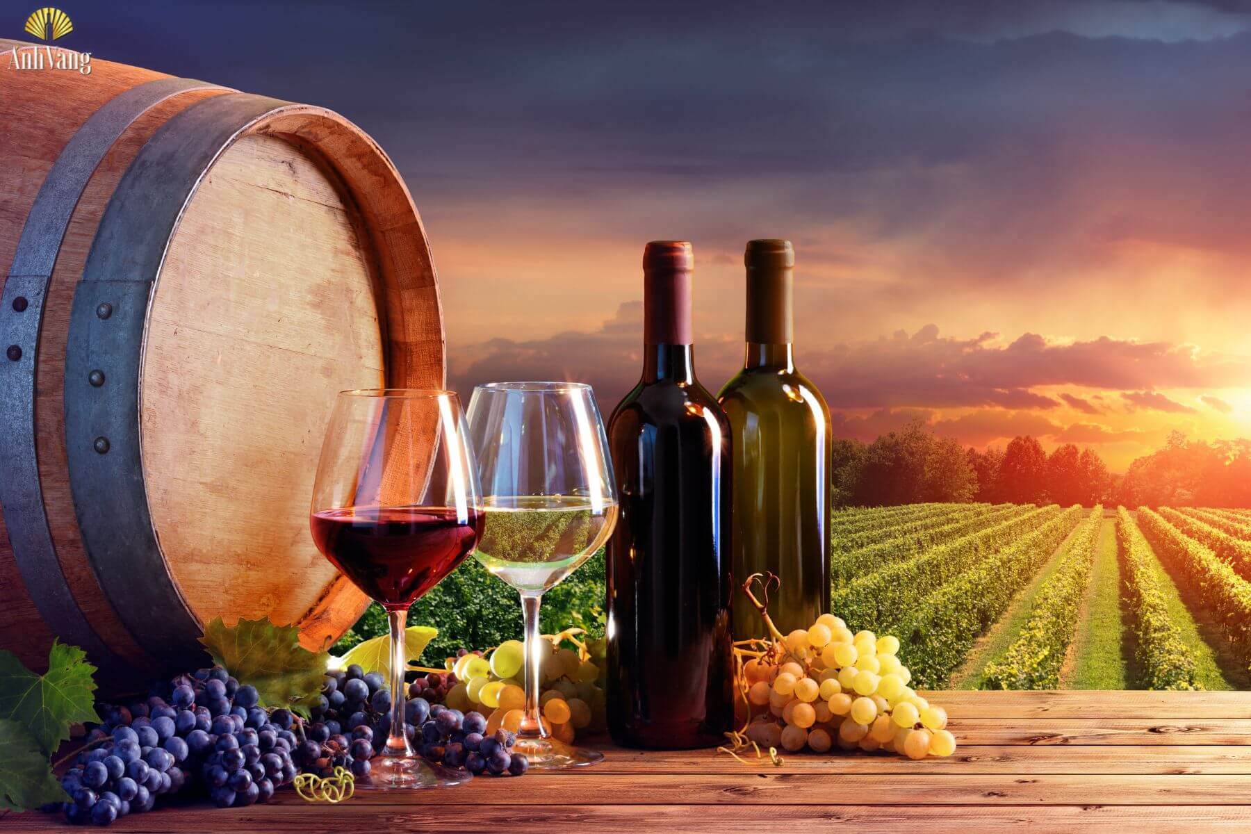 nha-san-xuat-noi-tieng-tai-colchagua-valley