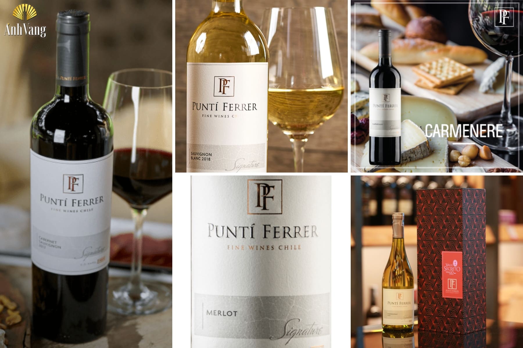 punti-ferrer-Signature