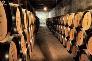 qua-trinh-len-men-ruou