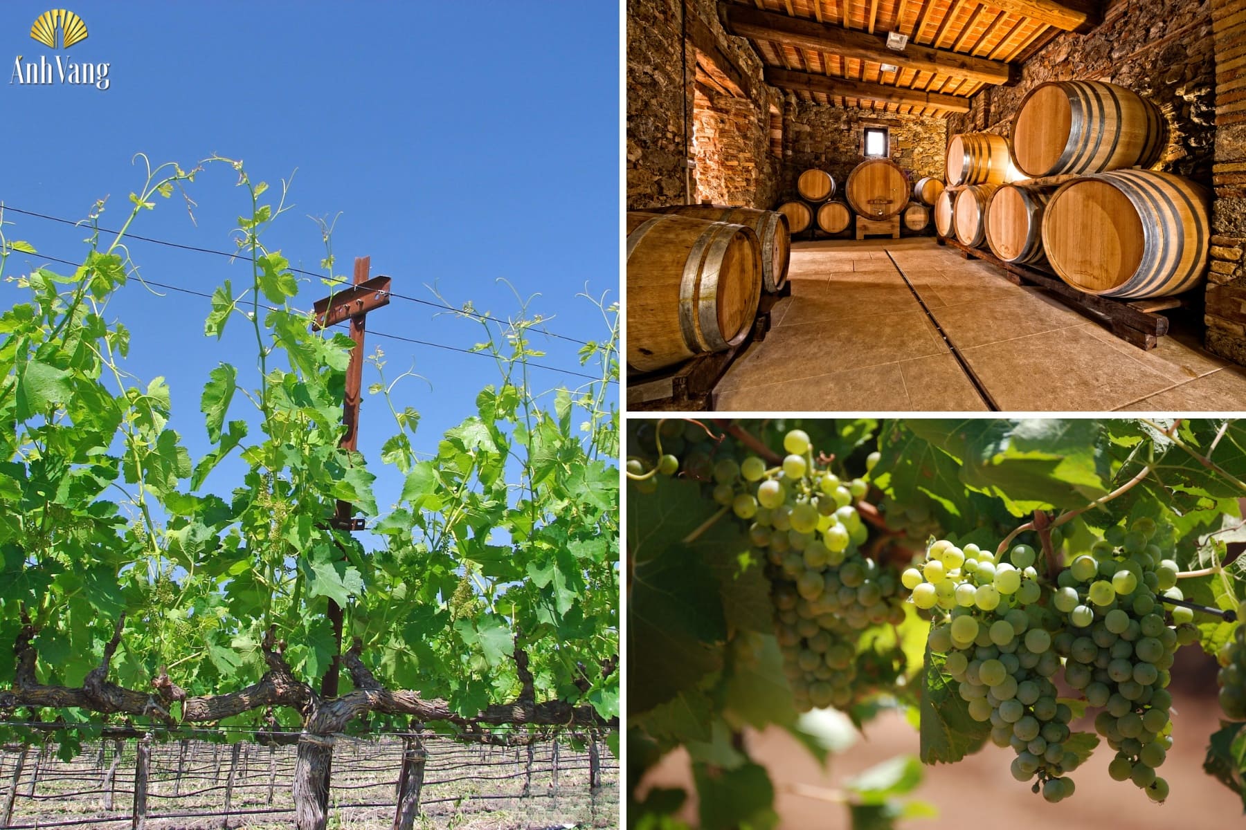 qua-trinh-san-xuat-vinultra