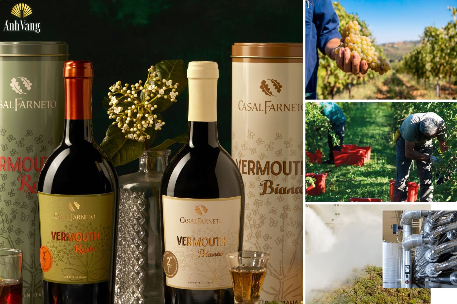 quy-trinh-san-xuat-thuong-hieu-casalfarneto