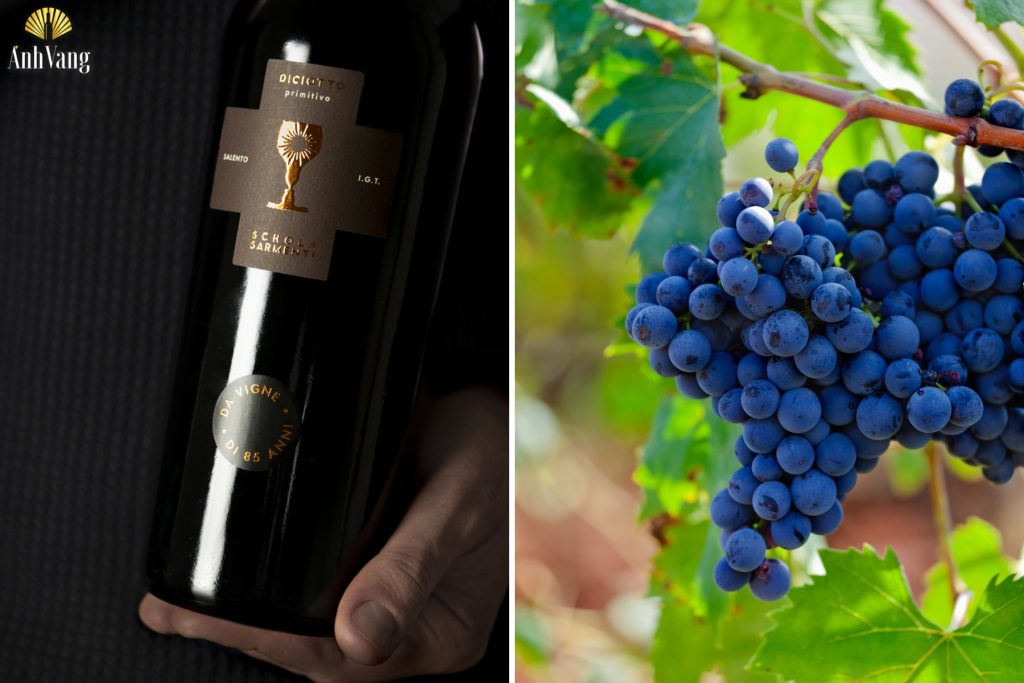 ruou-vang-chen-thanh