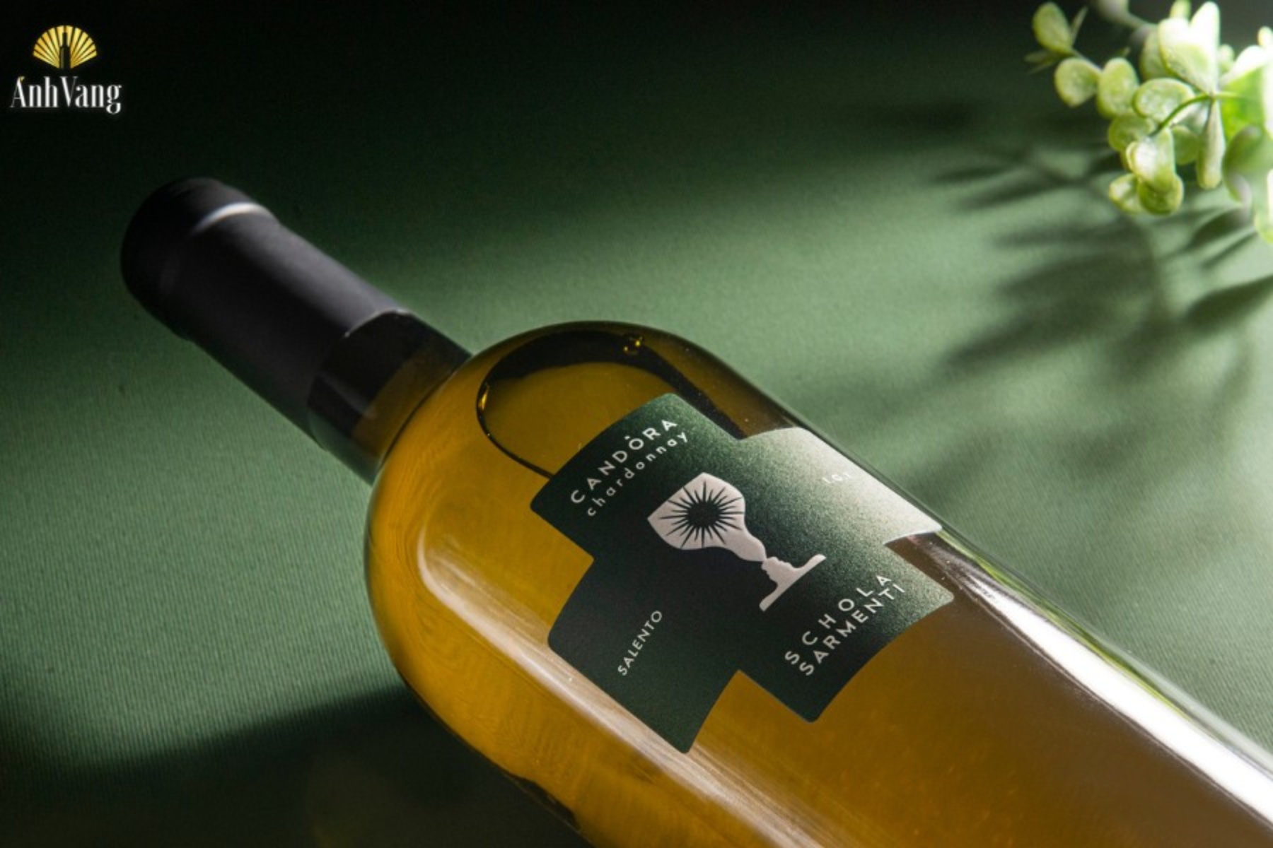 ruou-vang-schola-sarmenti-candora