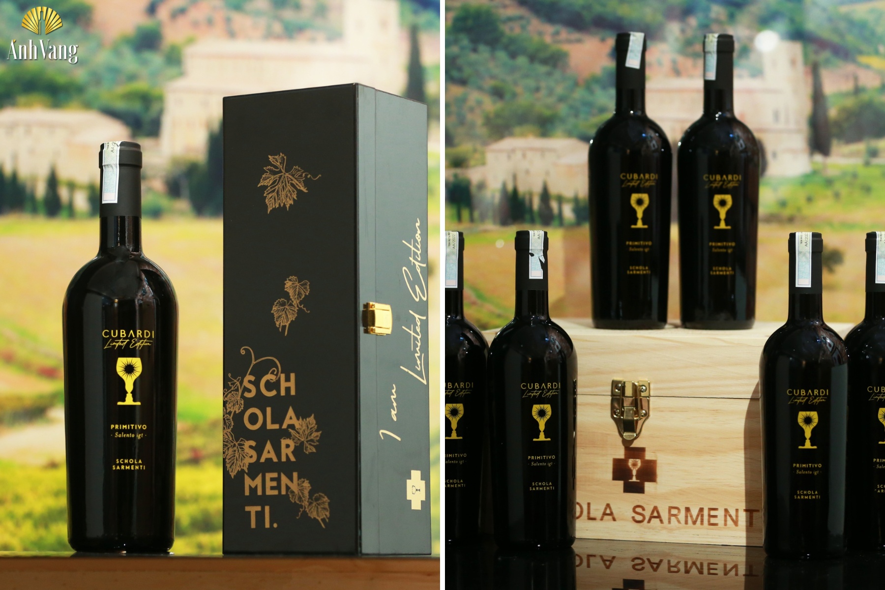 ruou-vang-schola-sarmenti-cubardi-limited