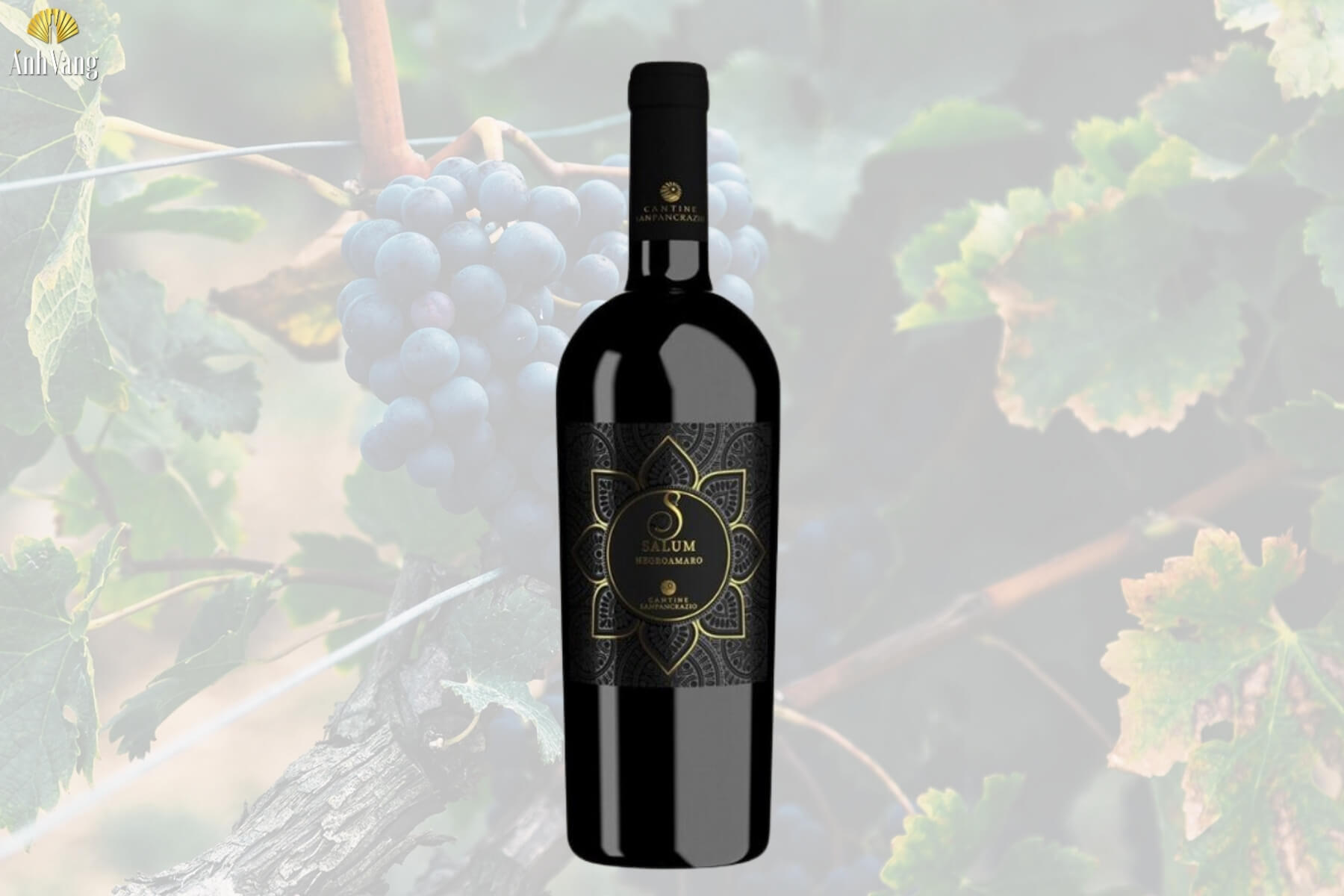 ruou-vang-y-salum-s-negroamaro